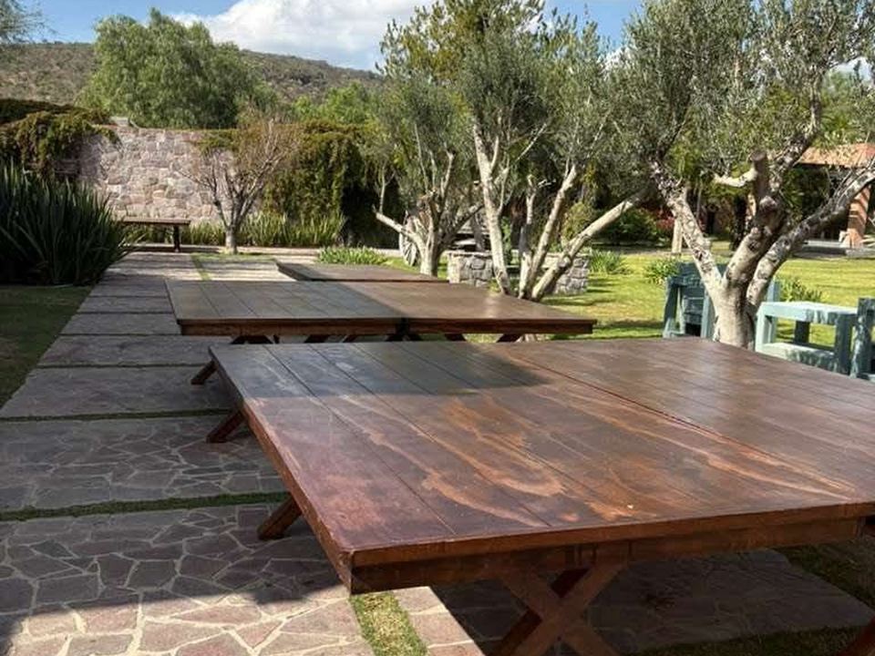 Varias mesas California de madera con patas cruzadas colocadas en un jardín con olivos y muro de piedra.
